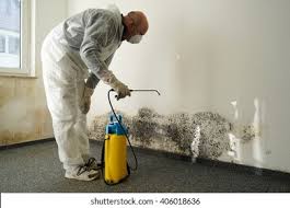 Best Commercial Mold Inspection  in USA